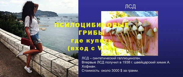 сатива Краснотурьинск