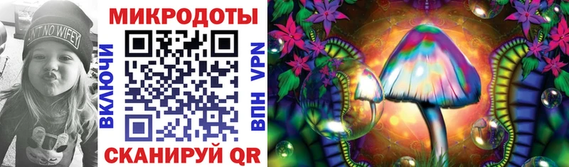 Псилоцибиновые грибы Psilocybine cubensis  Меленки 